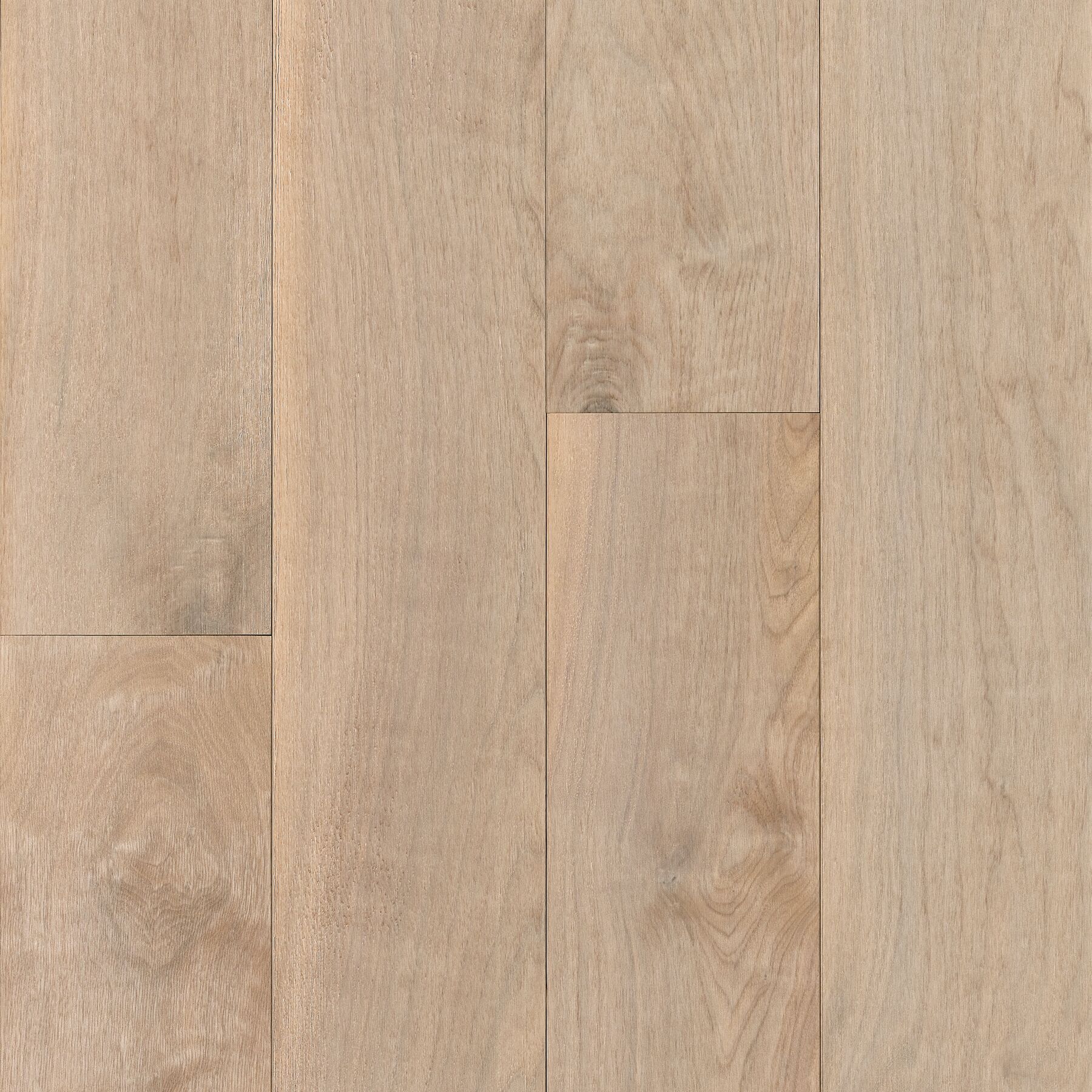 Unparalleled Natural 6-1/2" - BRDG63EB84W Unparalleled Natural